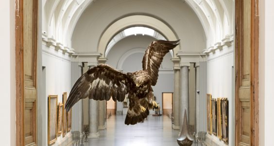 HISTORIAS NATURALES. Museo del Prado